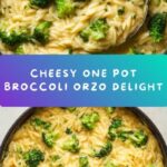 One Pot Broccoli Cheese Orzo Recipe