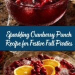Sparkling Cranberry Punch: A Festive and Refreshing Beverage Recipe
