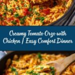 Creamy Tomato Orzo with Chicken Recipe