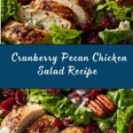 Cranberry Pecan Chicken Salad with Poppy Seed Dressing Recipe
