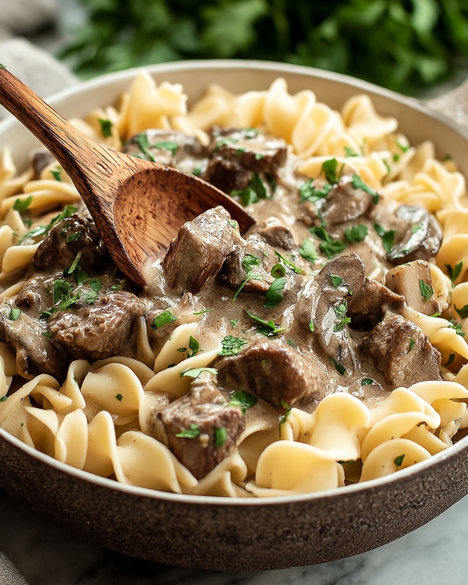 Old Fashioned Beef Stroganoff Recipe - Recipe Image