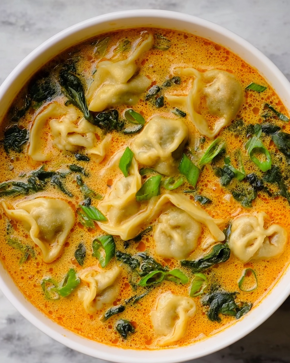 Thai Red Curry Dumpling Soup Recipe - Recipe Image