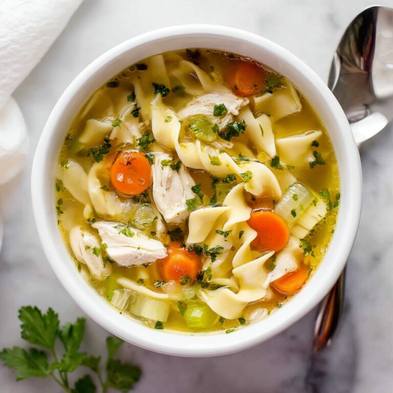 Chicken Noodle Soup Recipe