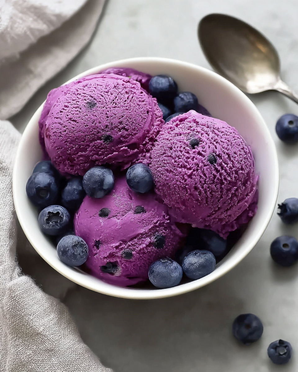 Blueberry Frozen Yogurt Recipe - Recipe Image