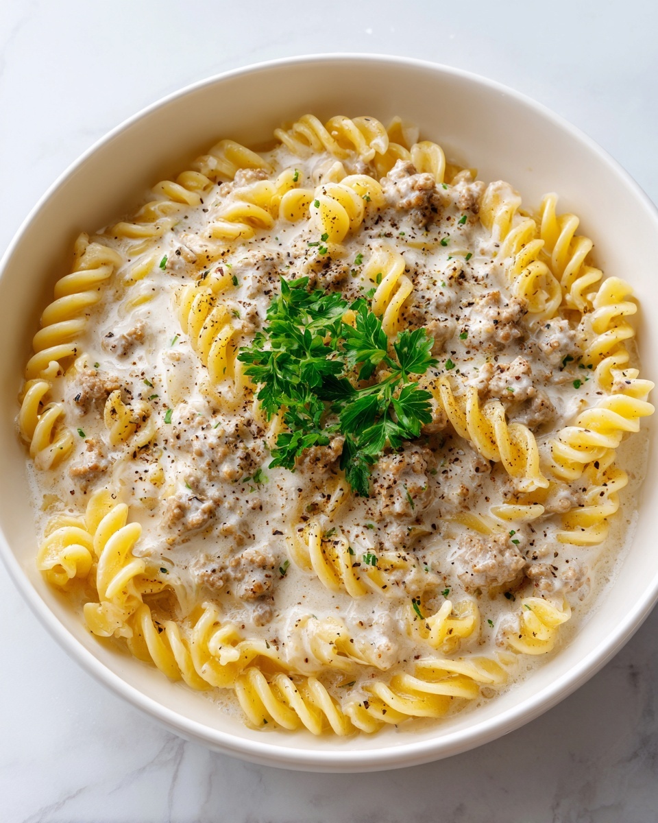 Beef and Rotini in Garlic Parmesan Sauce Recipe - Recipe Image