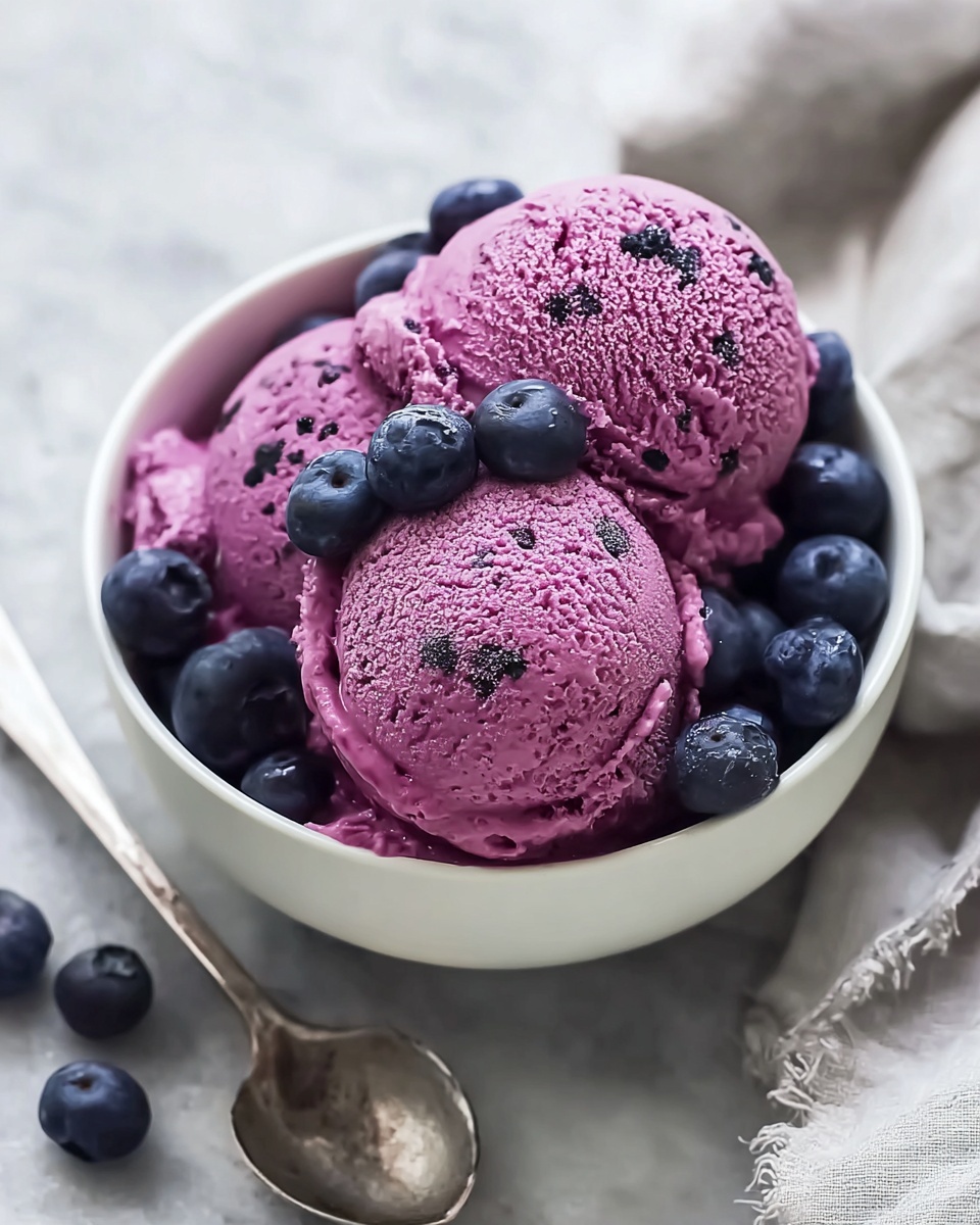 Blueberry Frozen Yogurt Recipe - Recipe Image